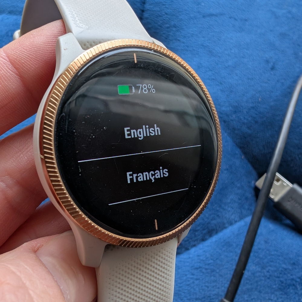 Garmin Smartwatch with Gold Bezel and Gray Band